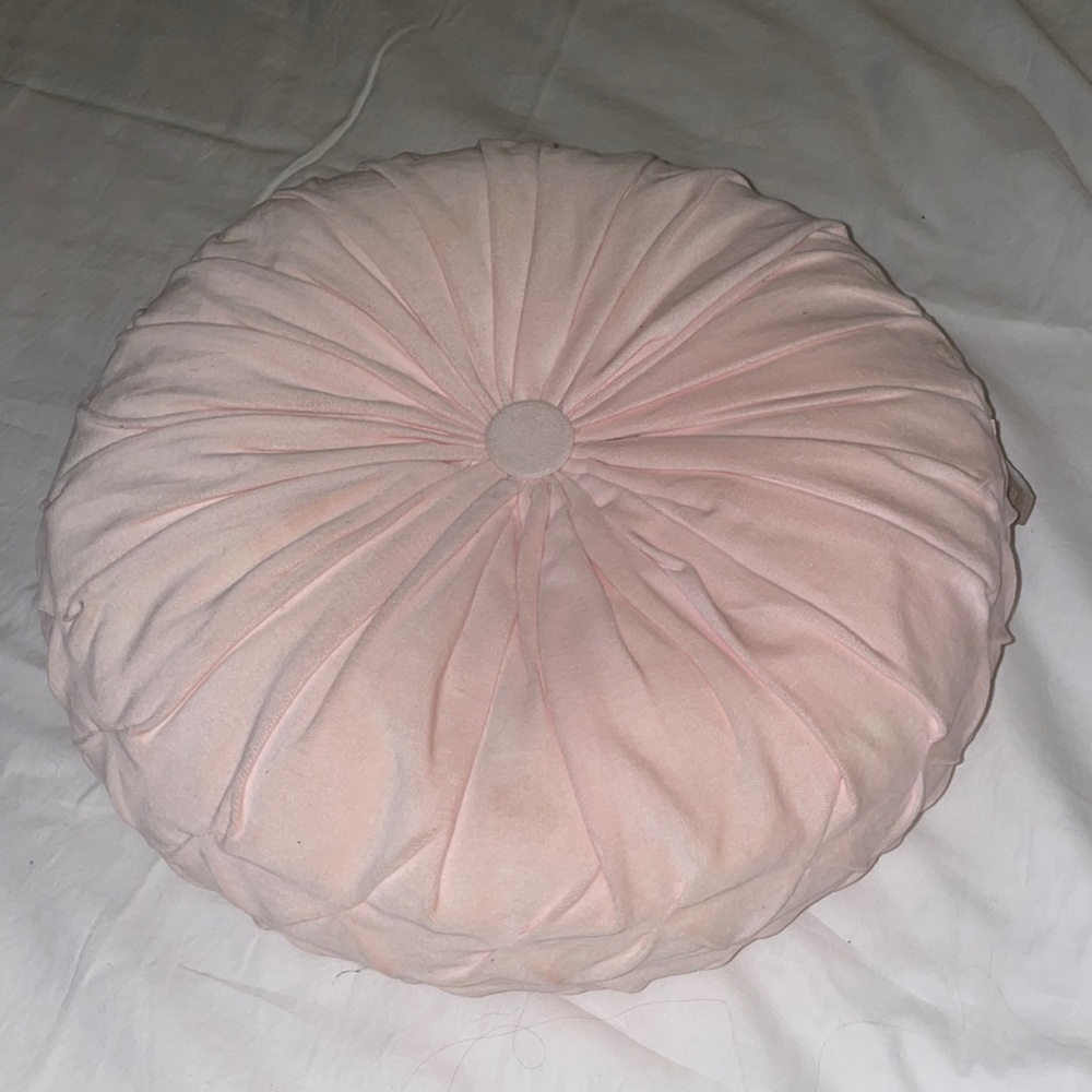 Pottery Barn Light Pink Throw Pillow